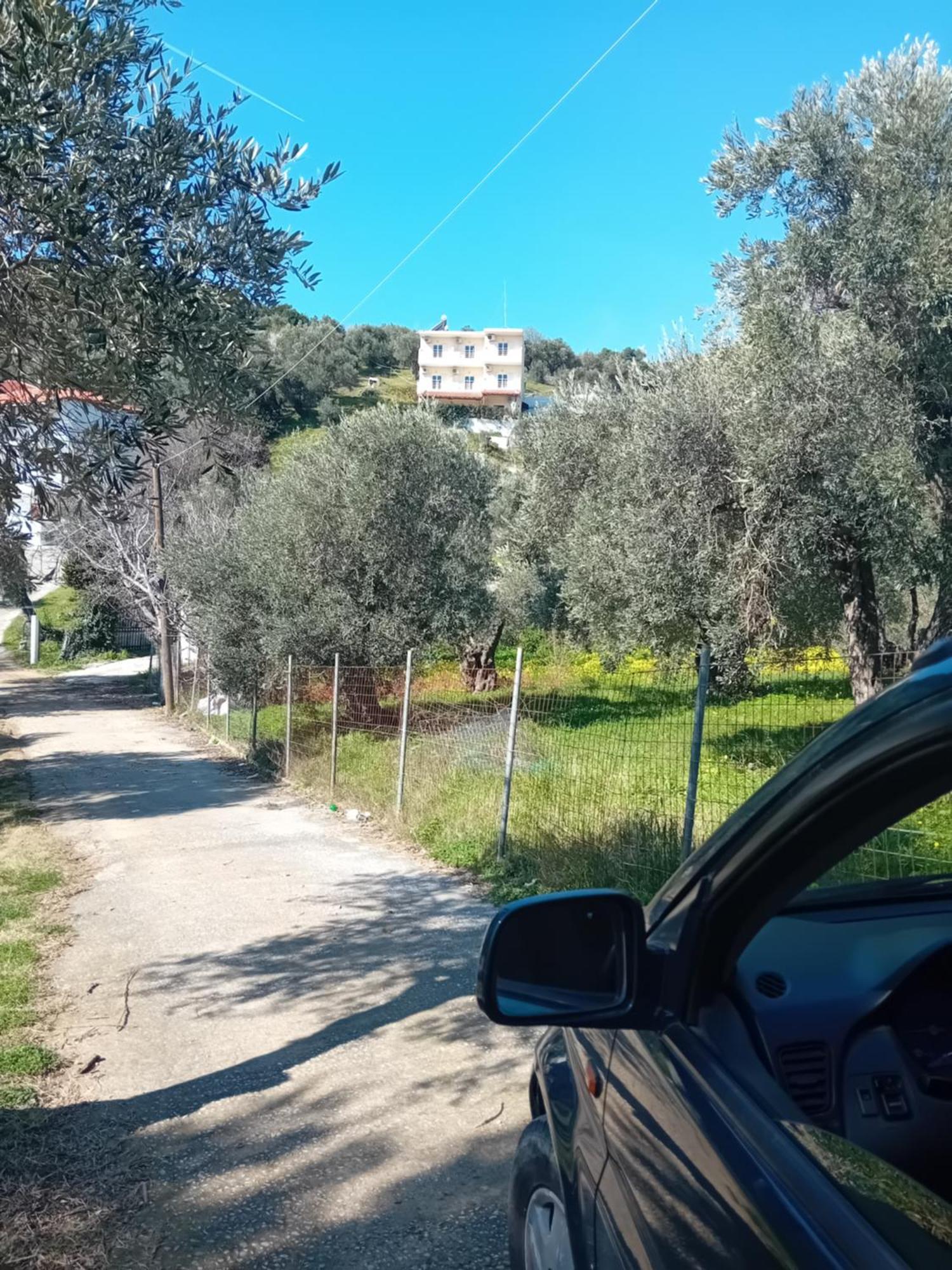Villa Krini Skiathos Town Exterior photo